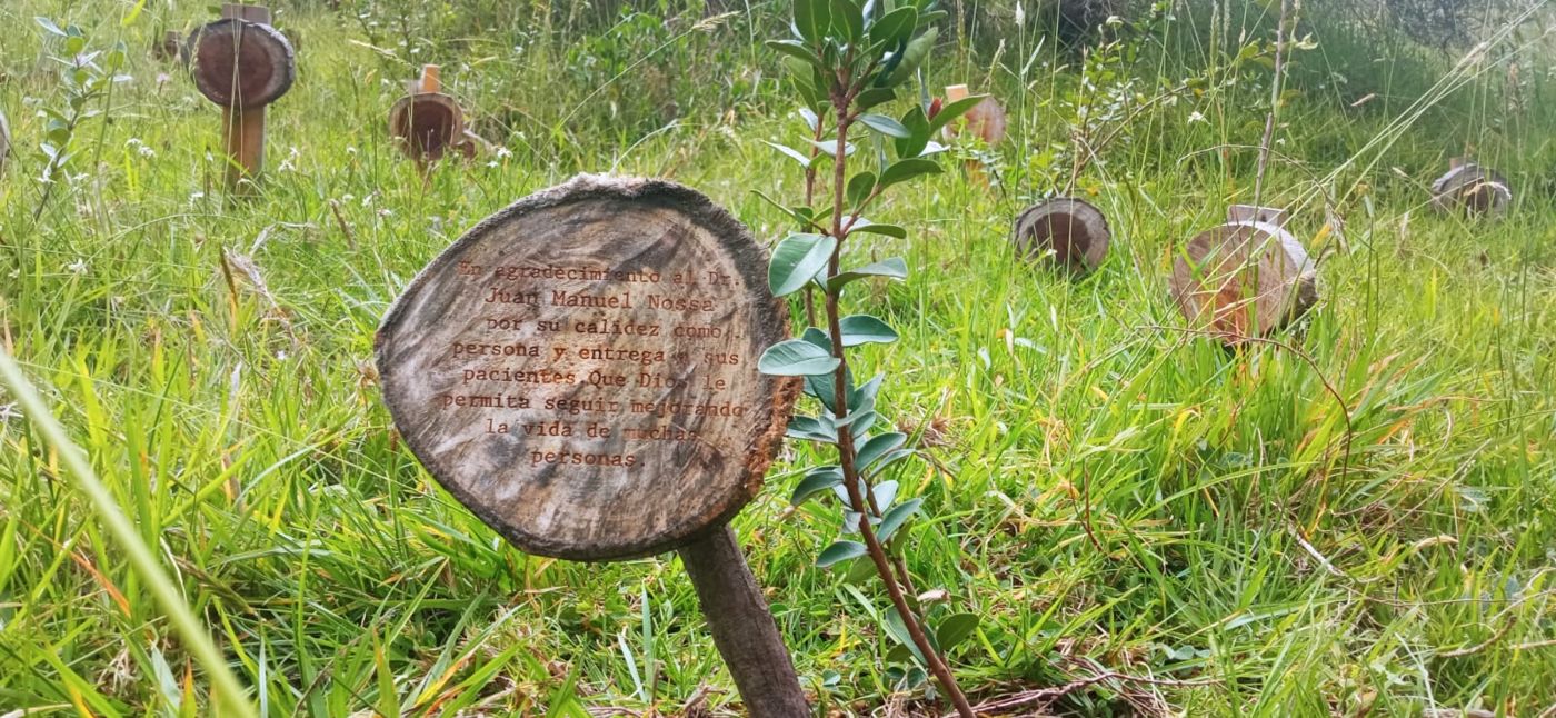 Placa de madera en agradecimiento al Dr. Juan Manuel Nossa