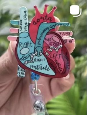 Pin Corazón anatómico porta carné